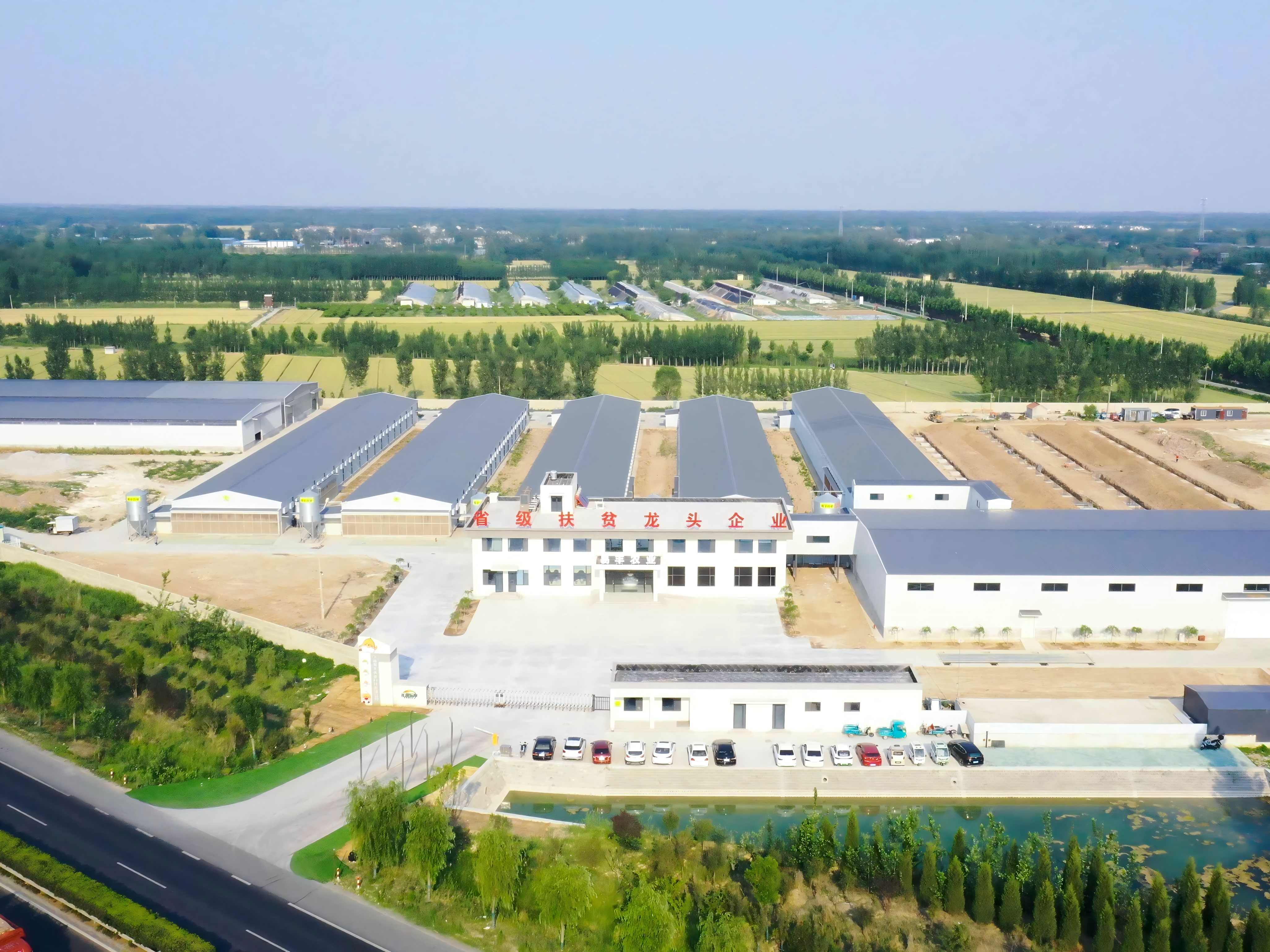 長田樂享超鮮蛋農場